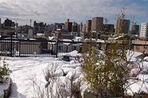 Tokyo Guest House 2020 エクステリア 写真