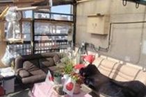 Tokyo Guest House 2020 エクステリア 写真
